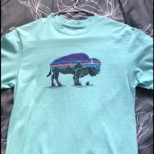 Men’s Patagonia Tshirt